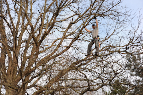 Micah Winzeler in the trees.